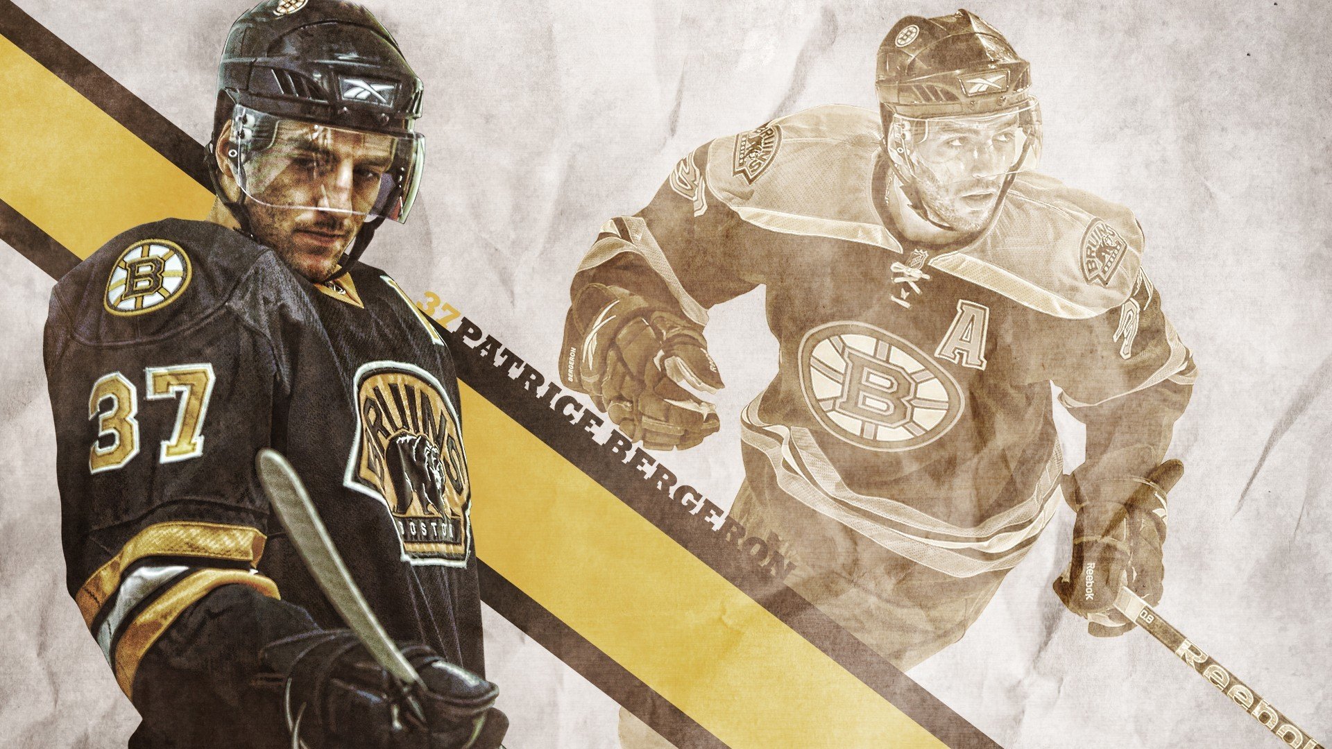 _鹈鹕潜力无限，逐步逼近排行榜前列_，鹈鹕科普